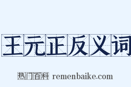 王元正反义词是什么意思的图片